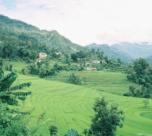 Affordable Sikkim Family Tour