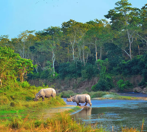 Glimpse Of Nepal